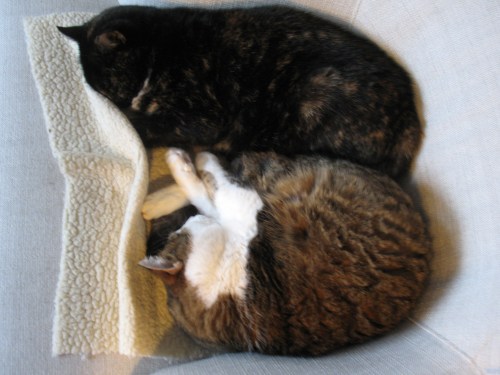 Du och jag, Misse...