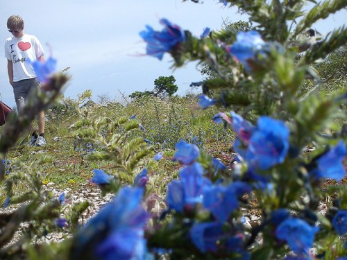 5990743860_f7f9dd3acb_z