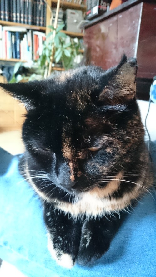 1426261275774-347505040