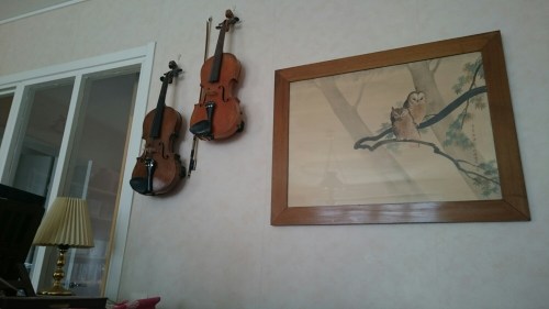 wp-1432469630607 image