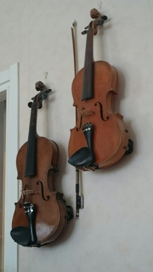 wp-1432472228133 image