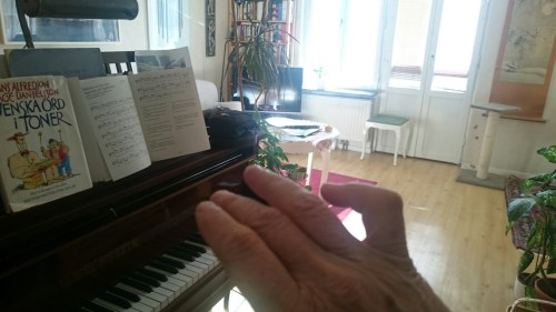 wp-1432913022719 image