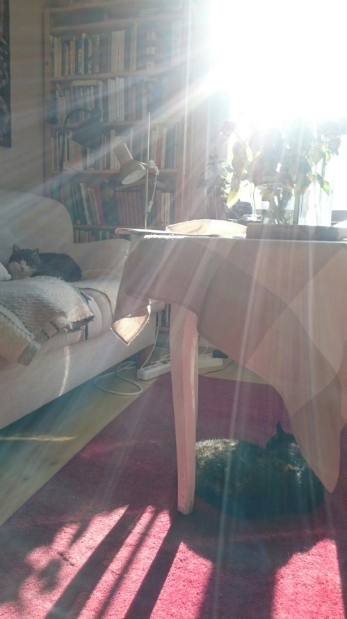 wp-1461941732180 image