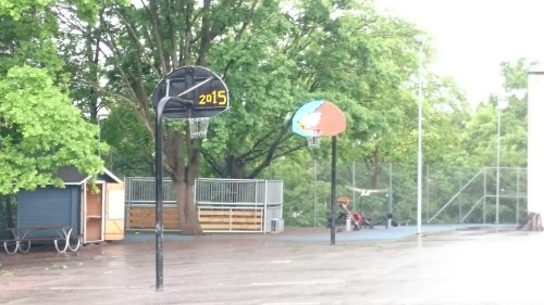 wp-1464370542818 image